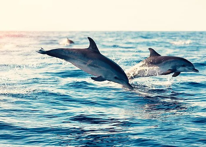 Cozy Seaside 107-9 In Orlando Lägenhet