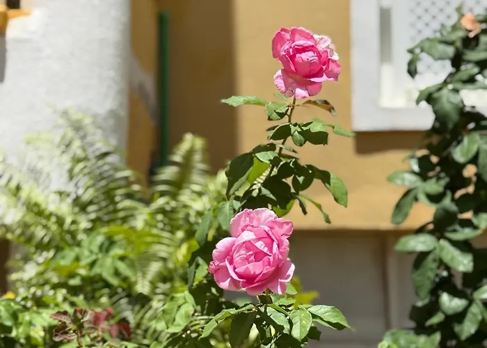 Cozy Seaside 107-9 In Orlando Lägenhet Costa Adeje (Tenerife)