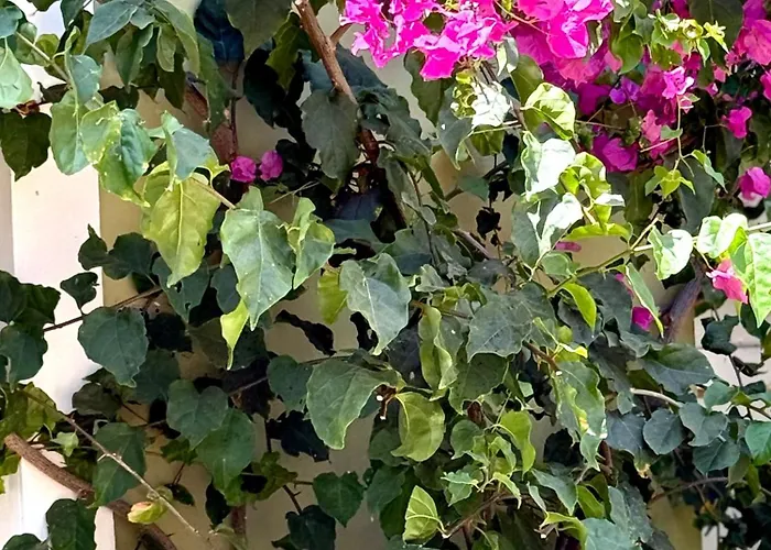 Cozy Seaside 107-9 In Orlando *