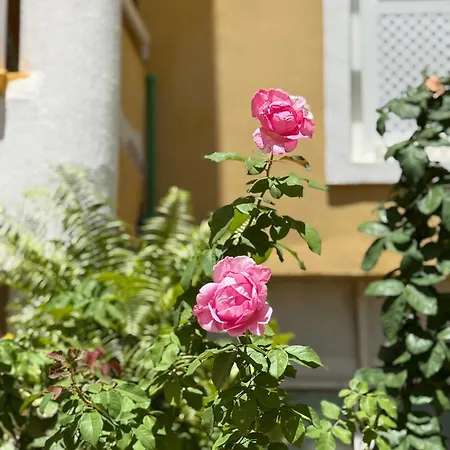 Cozy Seaside 107-9 In Orlando דירה אדחה