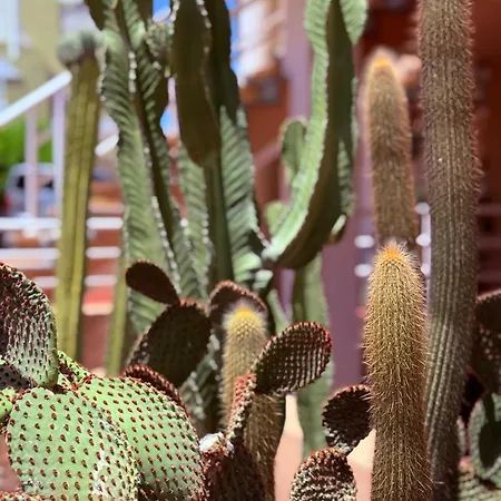 דירה Cozy Seaside 107-9 In Orlando