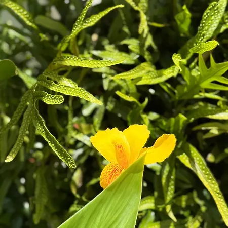 דירה Cozy Seaside 107-9 In Orlando *