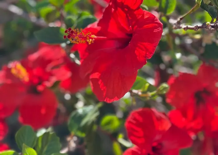 Cozy Seaside 107-9 In Orlando 아파트