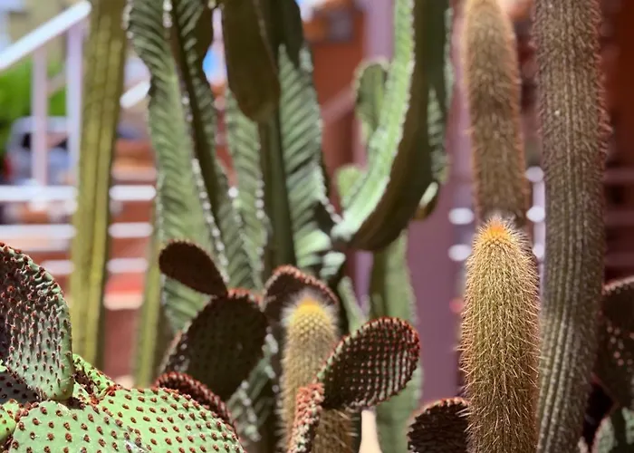 아파트 Cozy Seaside 107-9 In Orlando