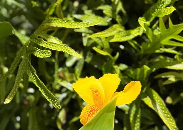 아파트 Cozy Seaside 107-9 In Orlando *