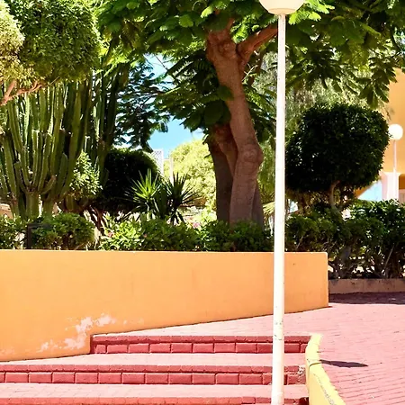 Cozy Seaside 107-9 In Orlando Costa Adeje (Tenerife)